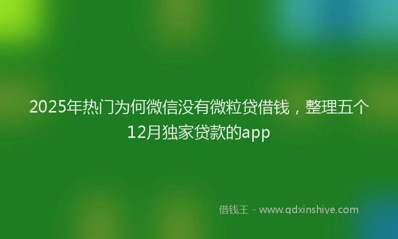2025年热门为何微信没有微粒贷借钱，整理五个12月独家贷款的app
