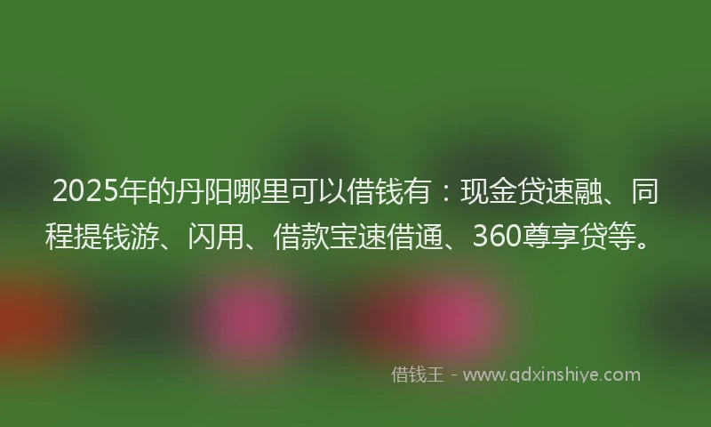 2025年的丹阳哪里可以借钱有：现金贷速融、同程提钱游、闪用、借款宝速借通、360尊享贷等。