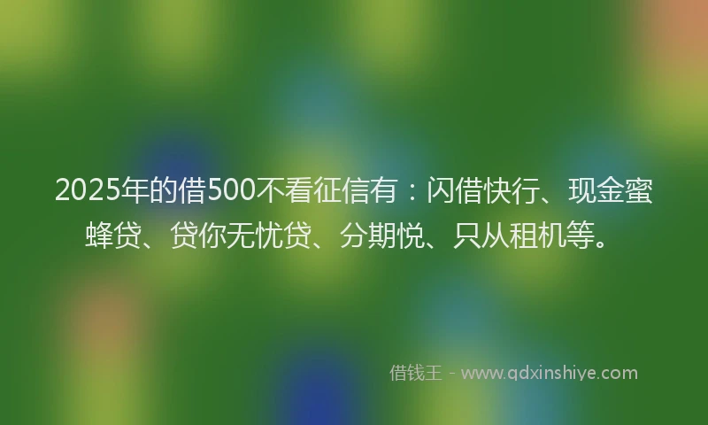 2025年的借500不看征信有：闪借快行、现金蜜蜂贷、贷你无忧贷、分期悦、只从租机等。