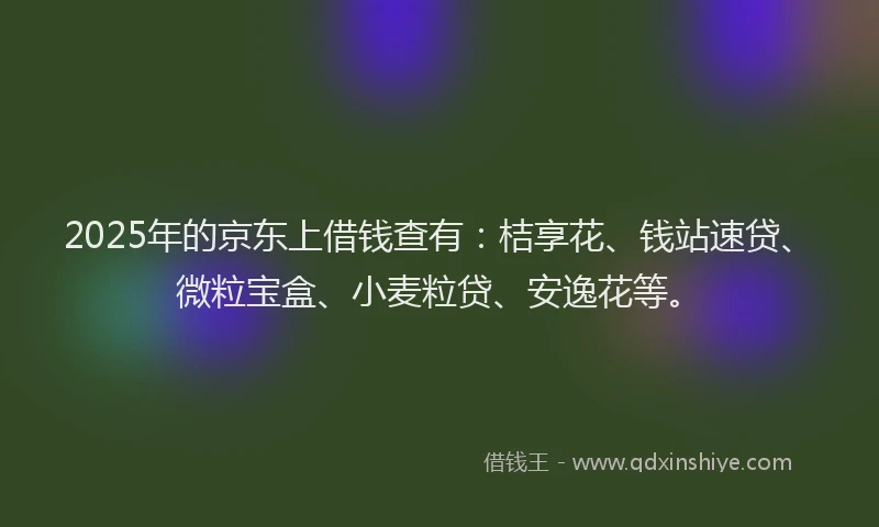 2025年的京东上借钱查有：桔享花、钱站速贷、微粒宝盒、小麦粒贷、安逸花等。