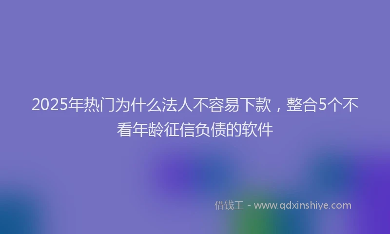2025年热门为什么法人不容易下款，整合5个不看年龄征信负债的软件