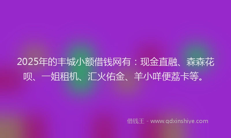 2025年的丰城小额借钱网有：现金直融、森森花呗、一姐租机、汇火佑金、羊小咩便荔卡等。