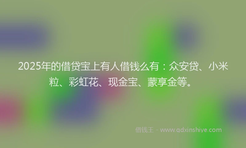 2025年的借贷宝上有人借钱么有：众安贷、小米粒、彩虹花、现金宝、蒙享金等。