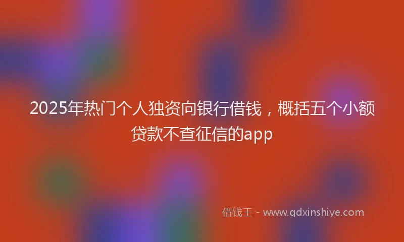 2025年热门个人独资向银行借钱，概括五个小额贷款不查征信的app