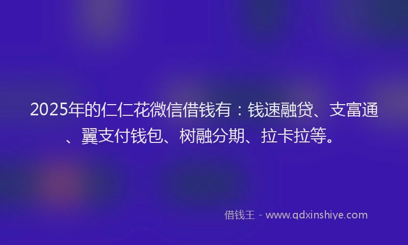 2025年的仁仁花微信借钱有：钱速融贷、支富通、翼支付钱包、树融分期、拉卡拉等。