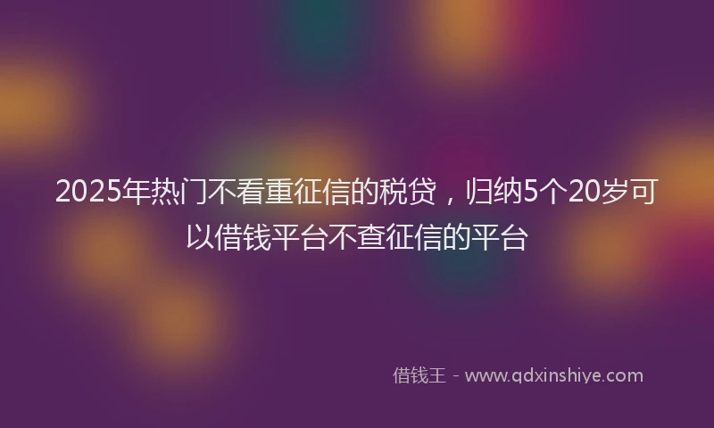 2025年热门不看重征信的税贷，归纳5个20岁可以借钱平台不查征信的平台