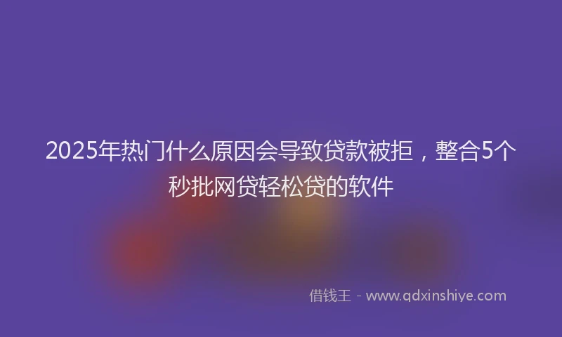 2025年热门什么原因会导致贷款被拒，整合5个秒批网贷轻松贷的软件