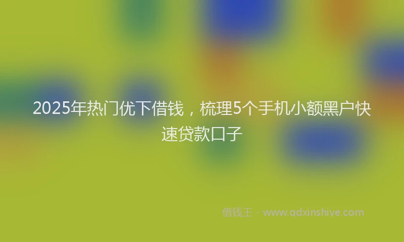 2025年热门优下借钱，梳理5个手机小额黑户快速贷款口子