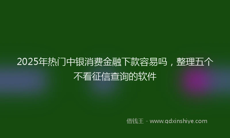2025年热门中银消费金融下款容易吗，整理五个不看征信查询的软件