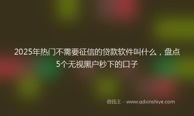 2025年热门不需要征信的贷款软件叫什么，盘点5个无视黑户秒下的口子