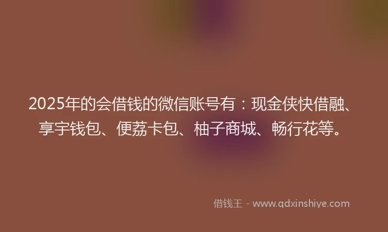 2025年的会借钱的微信账号有：现金侠快借融、享宇钱包、便荔卡包、柚子商城、畅行花等。