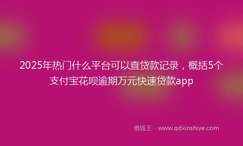 2025年热门什么平台可以查贷款记录，概括5个支付宝花呗逾期万元快速贷款app