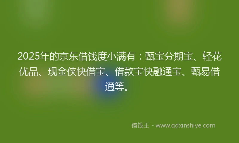 2025年的京东借钱度小满有：甄宝分期宝、轻花优品、现金侠快借宝、借款宝快融通宝、甄易借通等。