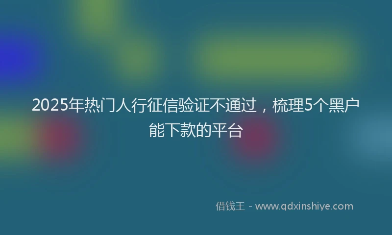 2025年热门人行征信验证不通过，梳理5个黑户能下款的平台