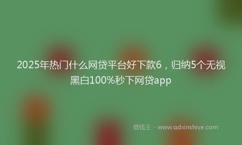 2025年热门什么网贷平台好下款6，归纳5个无视黑白100%秒下网贷app