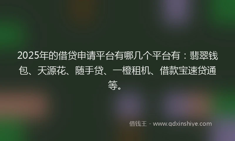 2025年的借贷申请平台有哪几个平台有：翡翠钱包、天源花、随手贷、一橙租机、借款宝速贷通等。