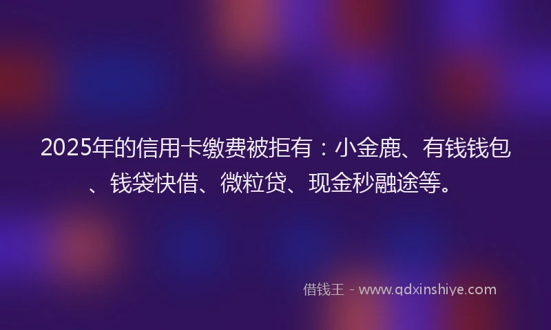 2025年的信用卡缴费被拒有：小金鹿、有钱钱包、钱袋快借、微粒贷、现金秒融途等。