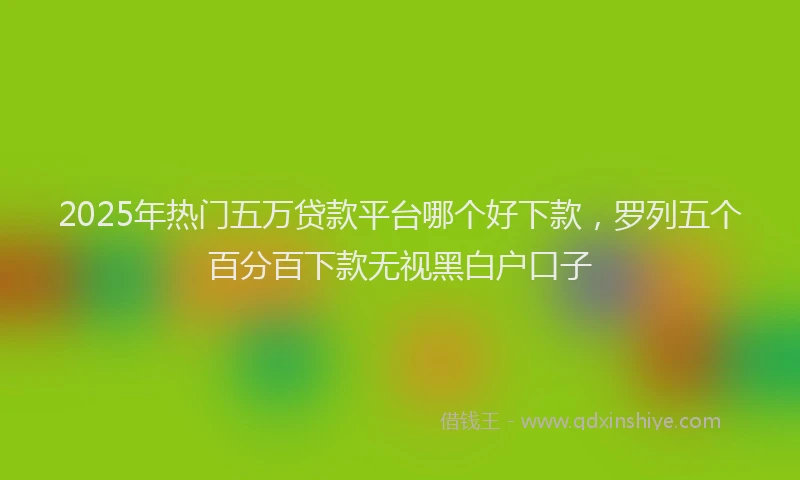 2025年热门五万贷款平台哪个好下款，罗列五个百分百下款无视黑白户口子