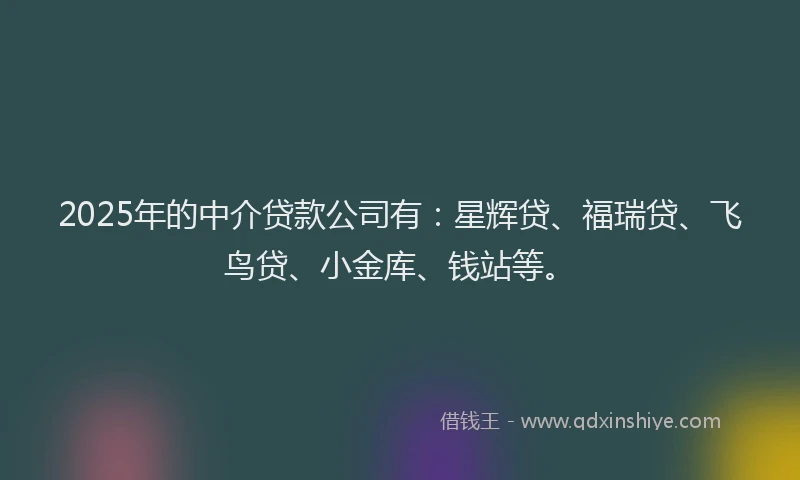 2025年的中介贷款公司有：星辉贷、福瑞贷、飞鸟贷、小金库、钱站等。