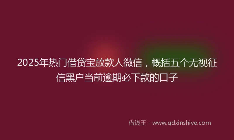2025年热门借贷宝放款人微信，概括五个无视征信黑户当前逾期必下款的口子