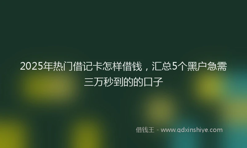 2025年热门借记卡怎样借钱，汇总5个黑户急需三万秒到的的口子