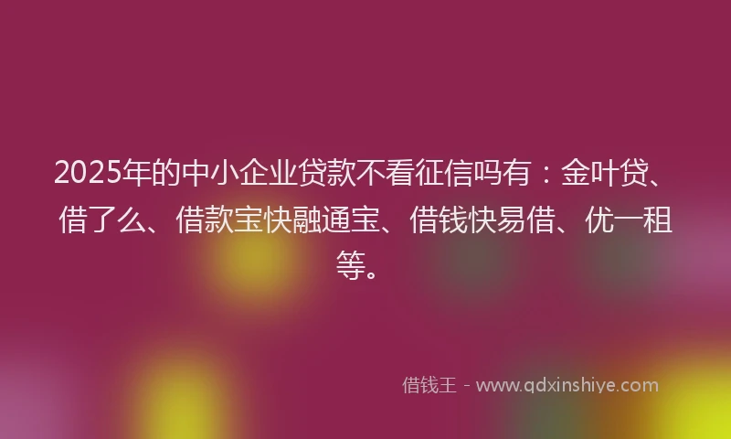 2025年的中小企业贷款不看征信吗有：金叶贷、借了么、借款宝快融通宝、借钱快易借、优一租等。