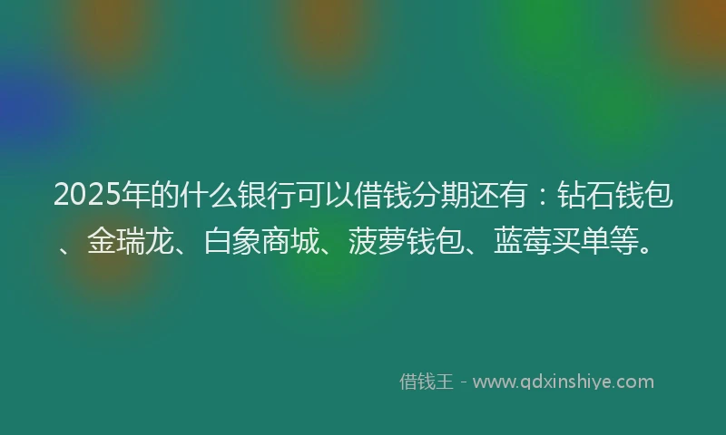 2025年的什么银行可以借钱分期还有：钻石钱包、金瑞龙、白象商城、菠萝钱包、蓝莓买单等。