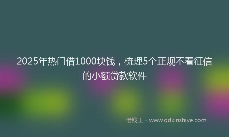 2025年热门借1000块钱，梳理5个正规不看征信的小额贷款软件