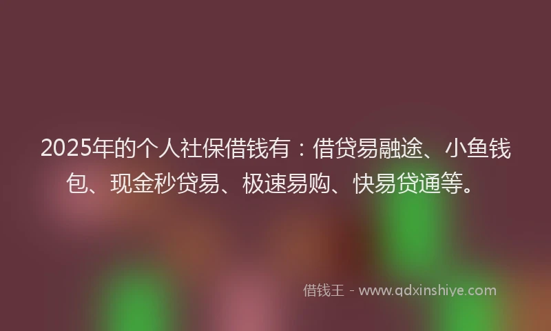 2025年的个人社保借钱有：借贷易融途、小鱼钱包、现金秒贷易、极速易购、快易贷通等。
