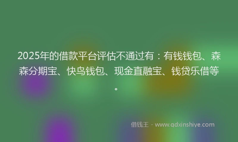 2025年的借款平台评估不通过有：有钱钱包、森森分期宝、快鸟钱包、现金直融宝、钱贷乐借等。