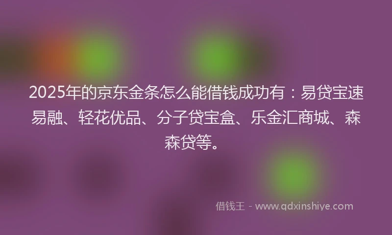 2025年的京东金条怎么能借钱成功有：易贷宝速易融、轻花优品、分子贷宝盒、乐金汇商城、森森贷等。