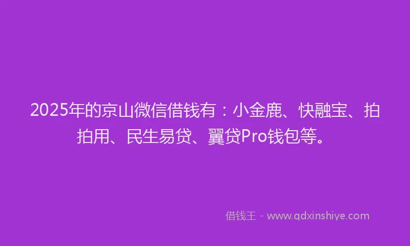 2025年的京山微信借钱有：小金鹿、快融宝、拍拍用、民生易贷、翼贷Pro钱包等。