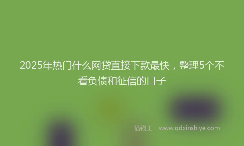 2025年热门什么网贷直接下款最快，整理5个不看负债和征信的口子