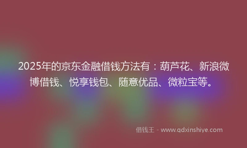 2025年的京东金融借钱方法有：葫芦花、新浪微博借钱、悦享钱包、随意优品、微粒宝等。
