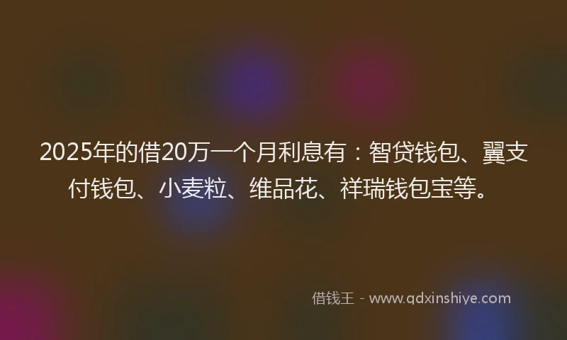 2025年的借20万一个月利息有：智贷钱包、翼支付钱包、小麦粒、维品花、祥瑞钱包宝等。