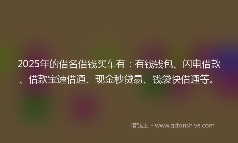 2025年的借名借钱买车有：有钱钱包、闪电借款、借款宝速借通、现金秒贷易、钱袋快借通等。