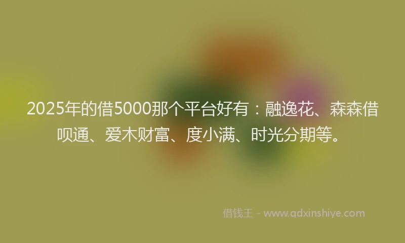 2025年的借5000那个平台好有：融逸花、森森借呗通、爱木财富、度小满、时光分期等。