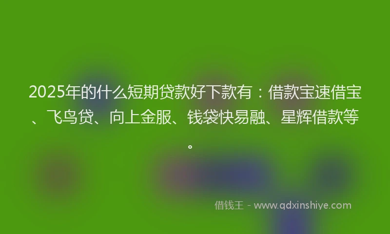 2025年的什么短期贷款好下款有：借款宝速借宝、飞鸟贷、向上金服、钱袋快易融、星辉借款等。