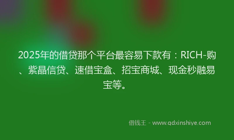 2025年的借贷那个平台最容易下款有：RICH-购、紫晶信贷、速借宝盒、招宝商城、现金秒融易宝等。