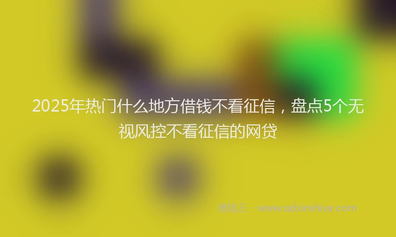 2025年热门什么地方借钱不看征信，盘点5个无视风控不看征信的网贷