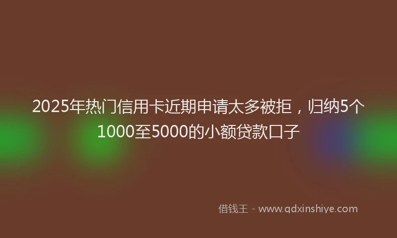 2025年热门信用卡近期申请太多被拒，归纳5个1000至5000的小额贷款口子