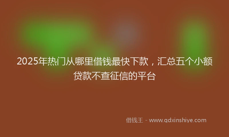 2025年热门从哪里借钱最快下款，汇总五个小额贷款不查征信的平台