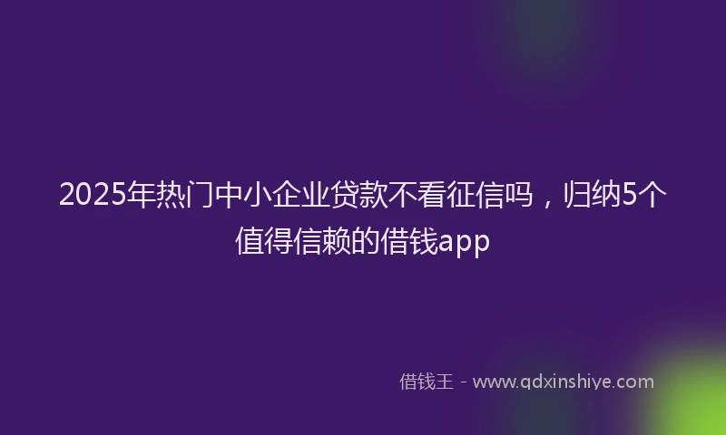 2025年热门中小企业贷款不看征信吗，归纳5个值得信赖的借钱app