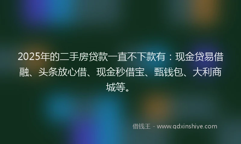 2025年的二手房贷款一直不下款有：现金贷易借融、头条放心借、现金秒借宝、甄钱包、大利商城等。