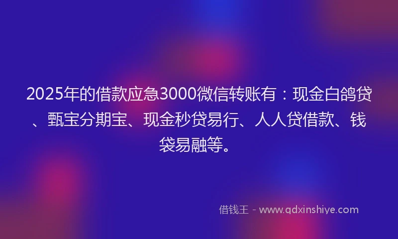 2025年的借款应急3000微信转账有：现金白鸽贷、甄宝分期宝、现金秒贷易行、人人贷借款、钱袋易融等。