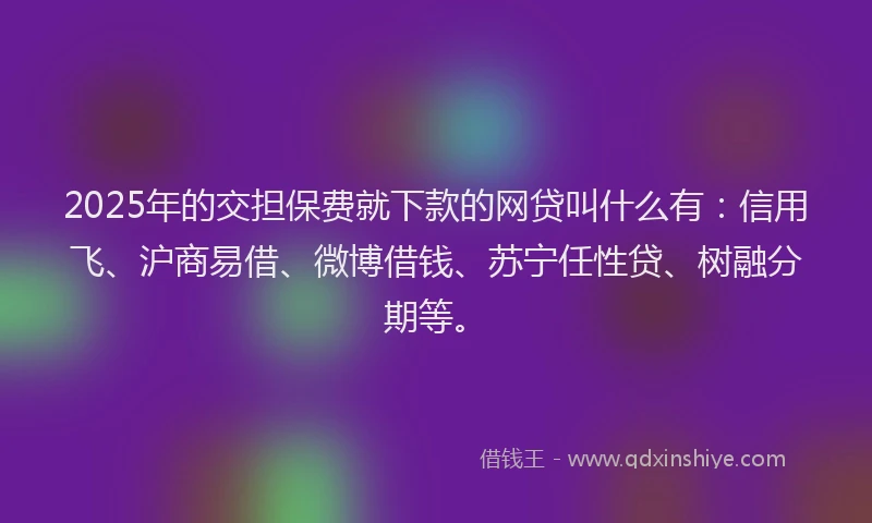 2025年的交担保费就下款的网贷叫什么有：信用飞、沪商易借、微博借钱、苏宁任性贷、树融分期等。