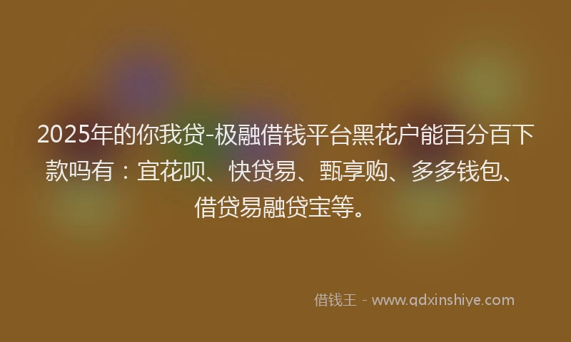 2025年的你我贷-极融借钱平台黑花户能百分百下款吗有：宜花呗、快贷易、甄享购、多多钱包、借贷易融贷宝等。
