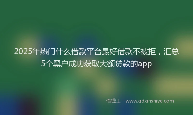 2025年热门什么借款平台最好借款不被拒，汇总5个黑户成功获取大额贷款的app
