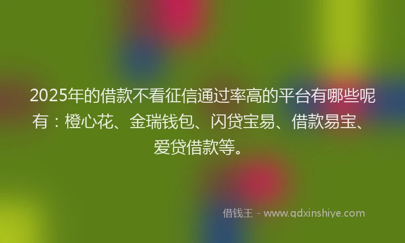 2025年的借款不看征信通过率高的平台有哪些呢有：橙心花、金瑞钱包、闪贷宝易、借款易宝、爱贷借款等。