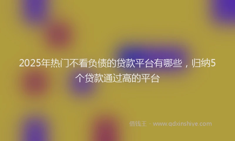 2025年热门不看负债的贷款平台有哪些，归纳5个贷款通过高的平台